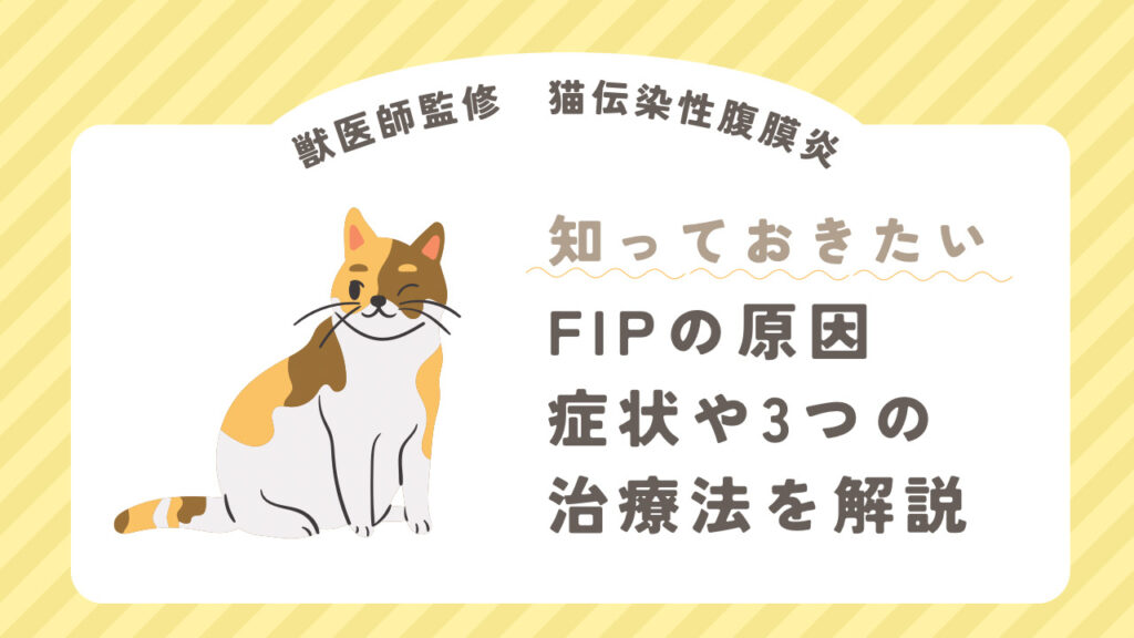 【獣医師監修｜猫伝染性腹膜炎】FIPの原因と症状、3つの治療法について解説