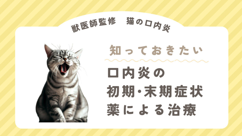 【獣医師監修】猫の口内炎は自然に治る？初期•末期症状、薬、抜歯の費用について解説