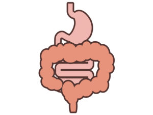 【犬の慢性腸症（炎症性腸疾患:IBD）】繰り返す下痢・血便｜治療法（ステロイド）・余命などについて獣医師が徹底解説