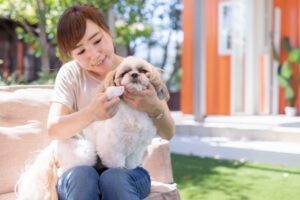 【犬の口臭について】口臭がドブ臭い...原因やケア方法について獣医師が解説！