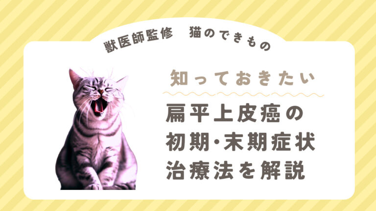  cSCCの即時治療が重要な理由