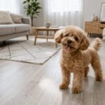 犬の拡張型心筋症