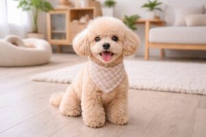 犬の急性胃腸炎・嘔吐